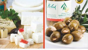 Phoca Thumb M Sxediasmos Diafimistikis Kataxorisis Alimos Pure Greek